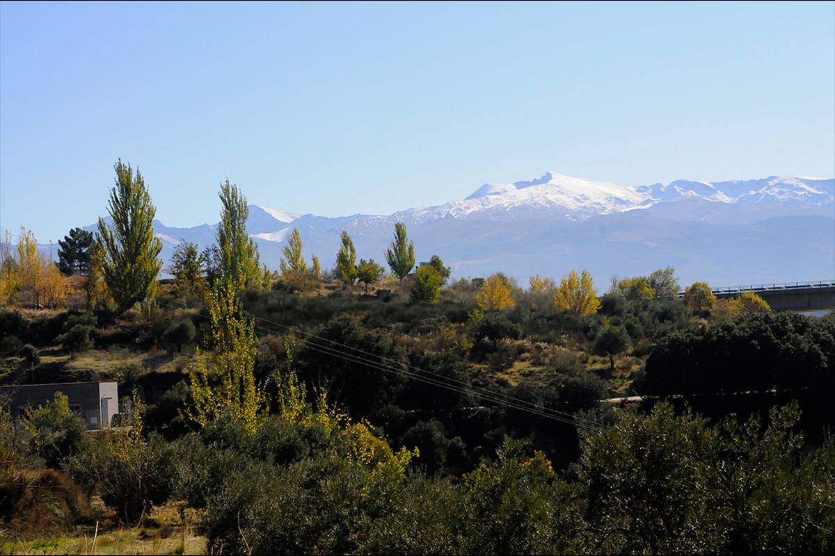 Darro-nacimiento-sendero-004
