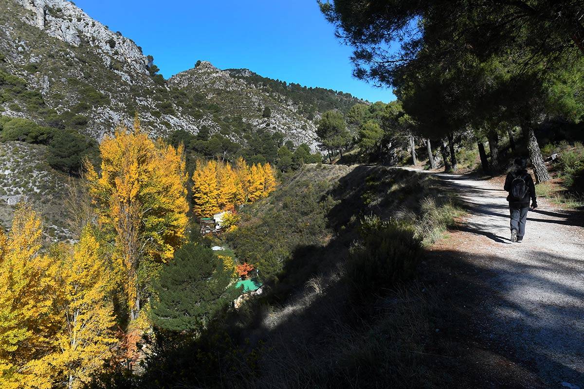 Darro-nacimiento-sendero-010