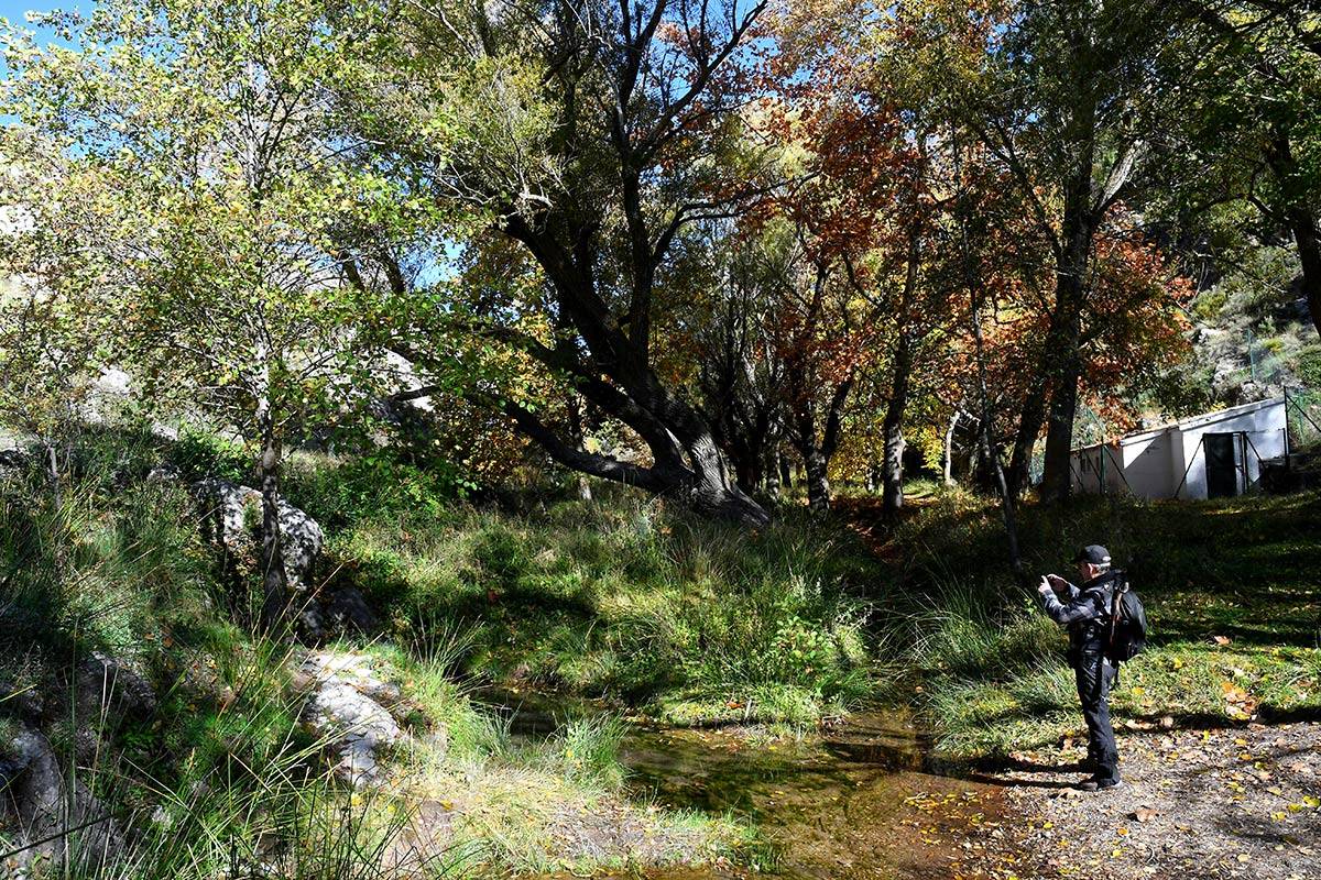 Darro-nacimiento-sendero-011