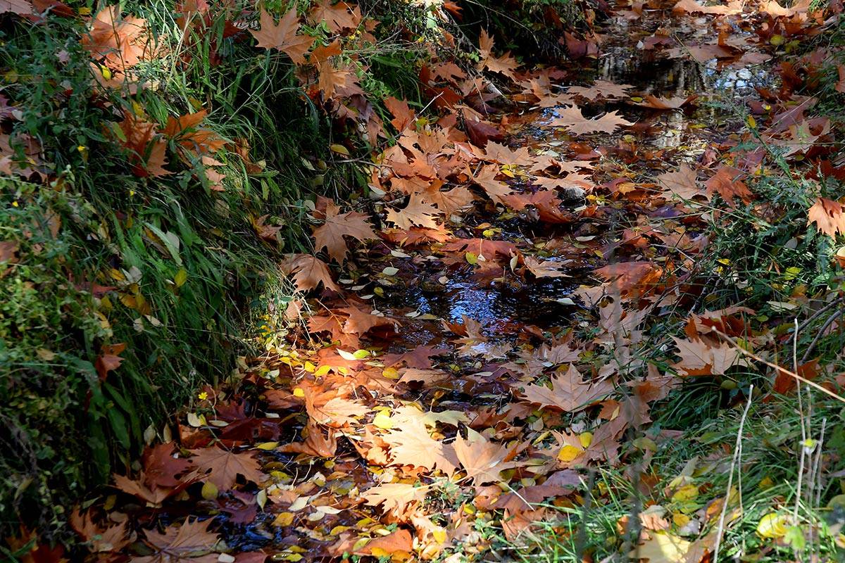 Darro-nacimiento-sendero-012