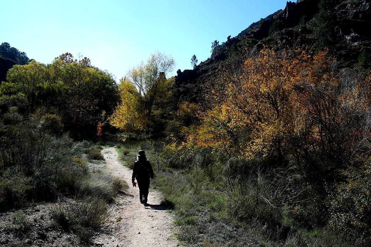 Darro-nacimiento-sendero-016