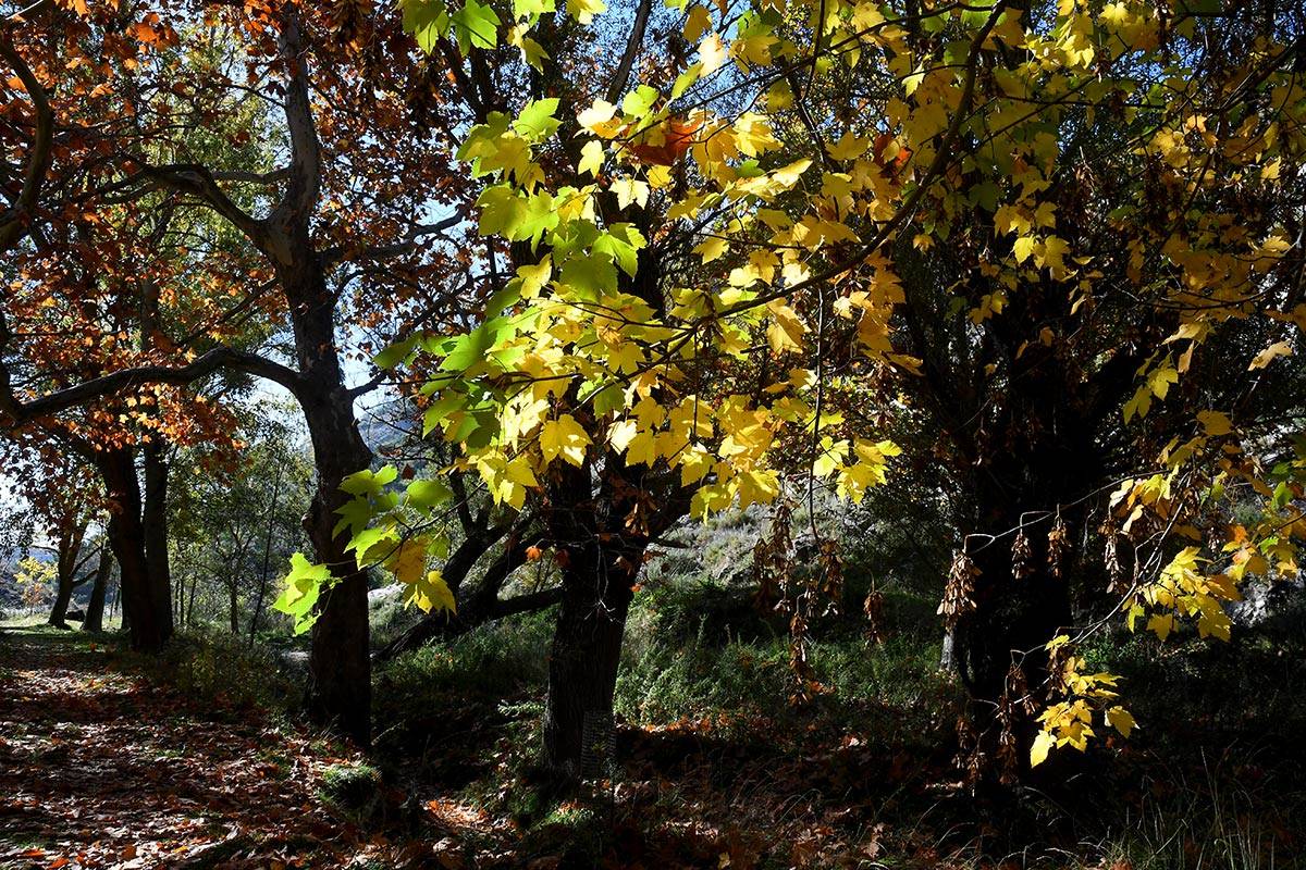 Darro-nacimiento-sendero-017
