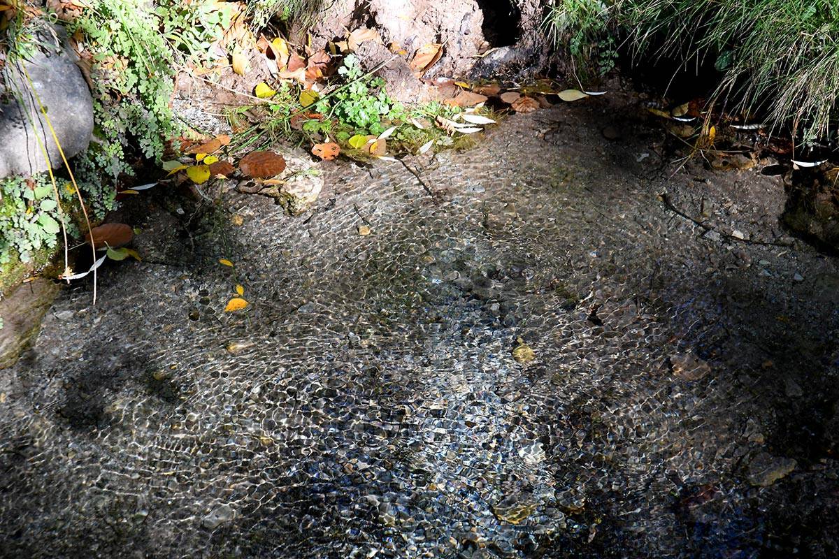 Darro-nacimiento-sendero-019