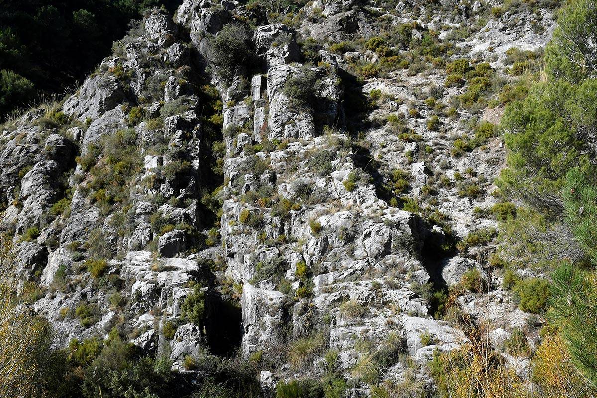 Darro-nacimiento-sendero-020