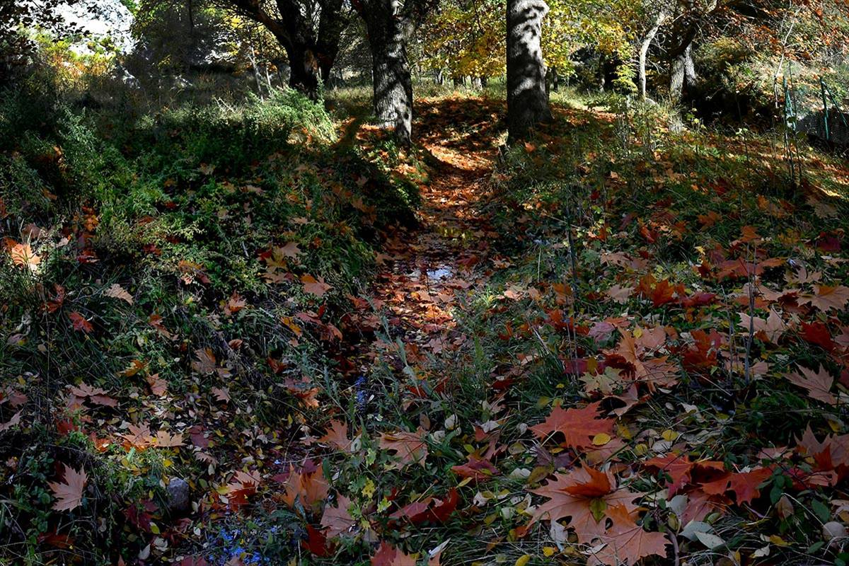 Darro-nacimiento-sendero-023