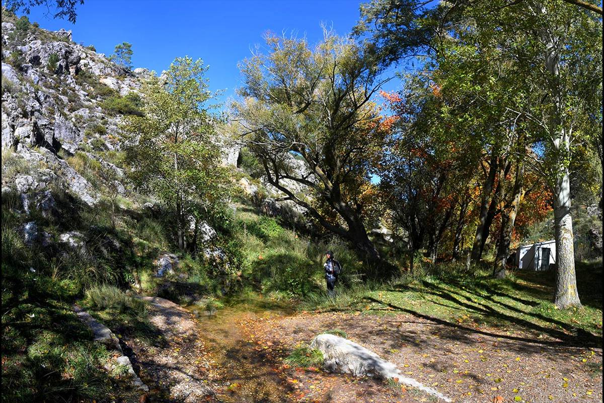 Darro-nacimiento-sendero-025