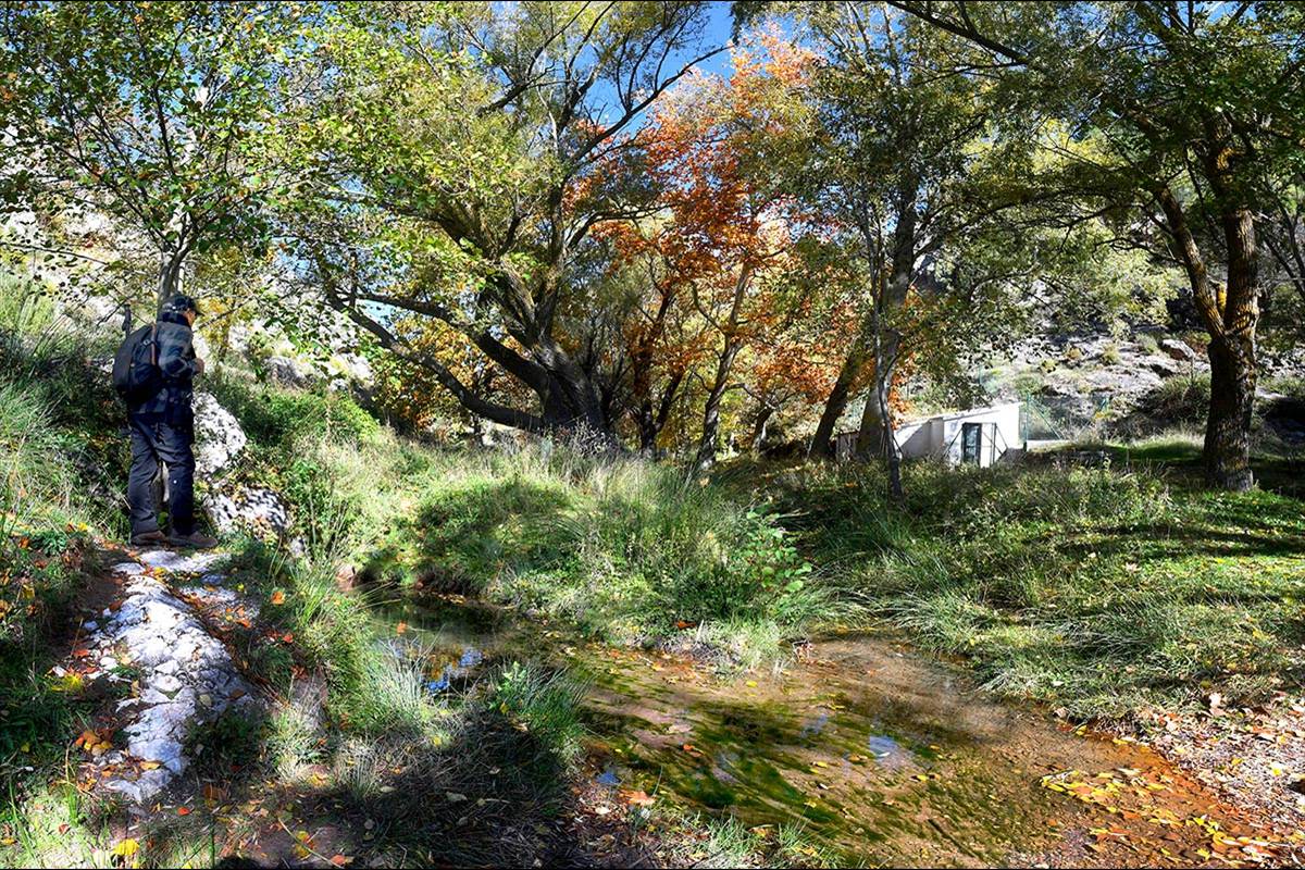 Darro-nacimiento-sendero-026