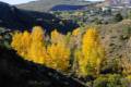 Darro-nacimiento-sendero-003