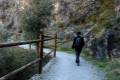 Darro-nacimiento-sendero-006