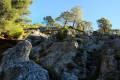 Darro-nacimiento-sendero-008