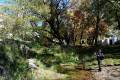 Darro-nacimiento-sendero-011