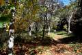 Darro-nacimiento-sendero-013
