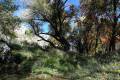 Darro-nacimiento-sendero-014