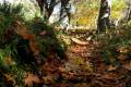 Darro-nacimiento-sendero-015
