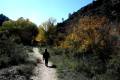 Darro-nacimiento-sendero-016