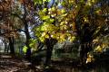 Darro-nacimiento-sendero-017