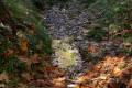 Darro-nacimiento-sendero-018