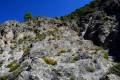 Darro-nacimiento-sendero-021