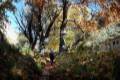 Darro-nacimiento-sendero-024