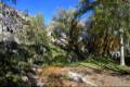 Darro-nacimiento-sendero-025