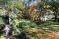 Darro-nacimiento-sendero-026