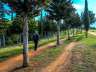 dehesadelgeneralife46