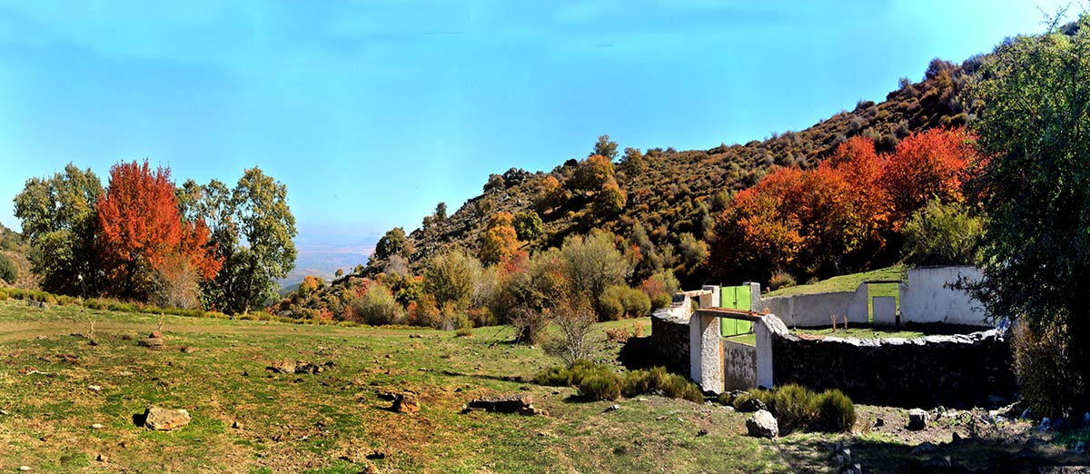dehesa-camarate-16