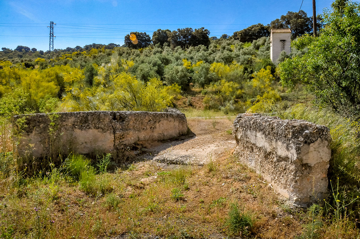 acequiadedeifontes03