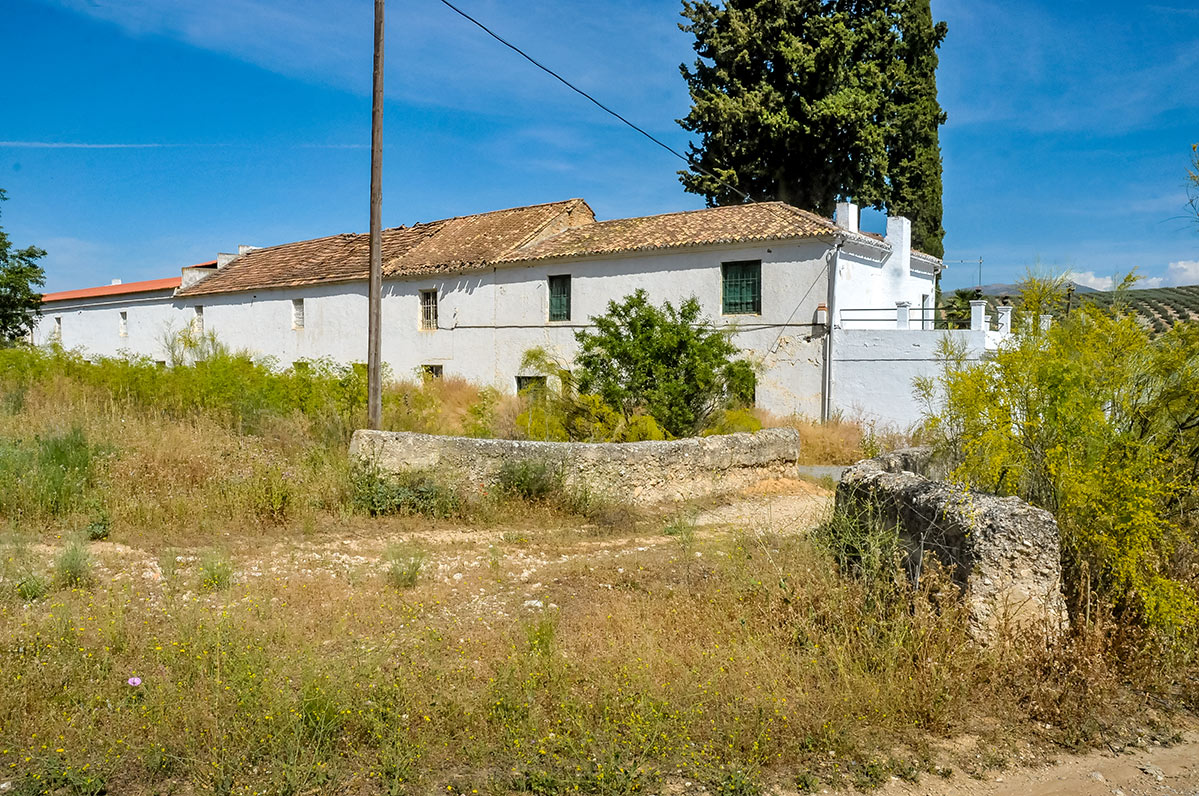 acequiadedeifontes07
