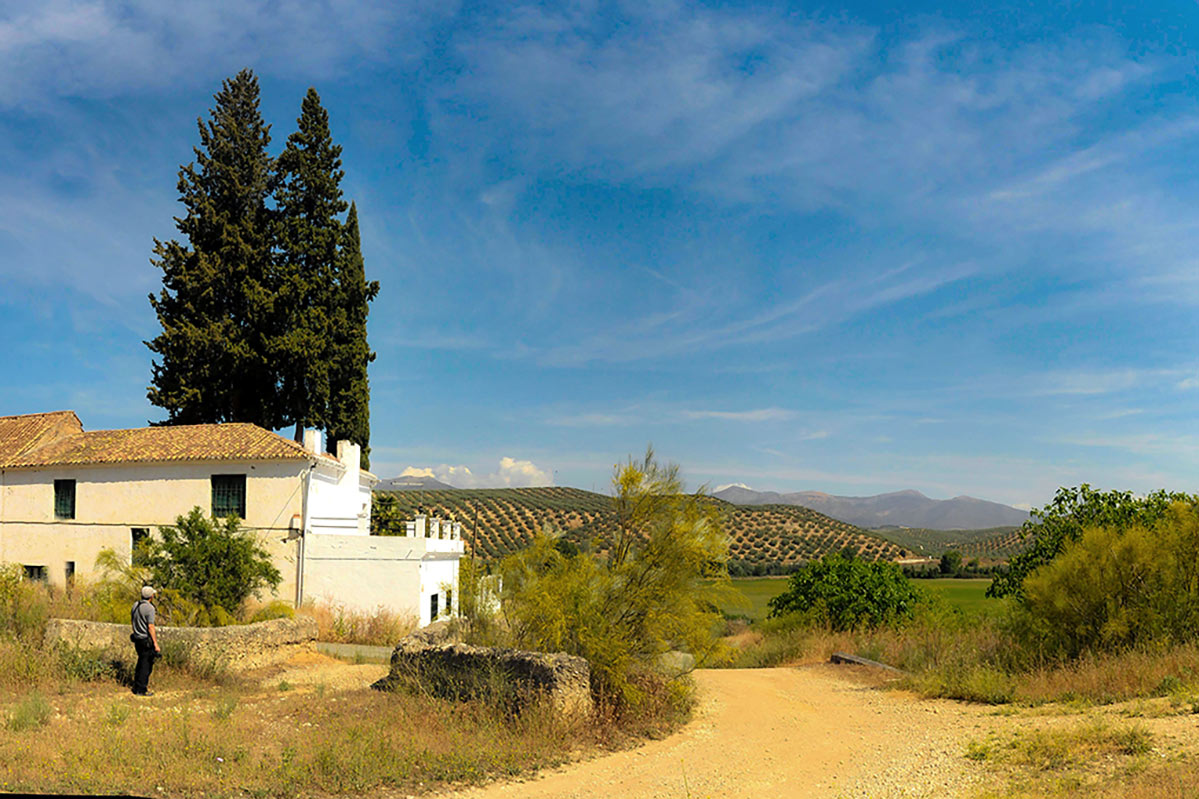 acequiadedeifontes09