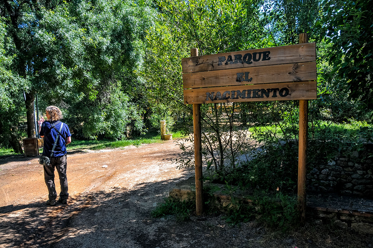 deifontesnacimiento02