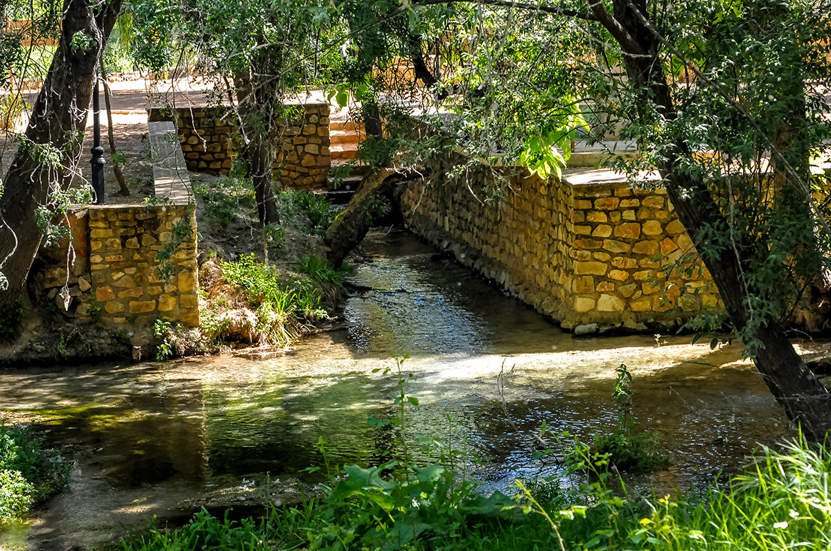 deifontesnacimiento11