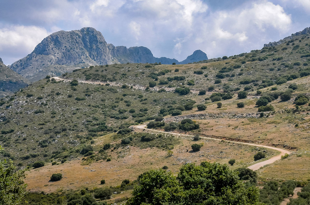 deifontestorre03