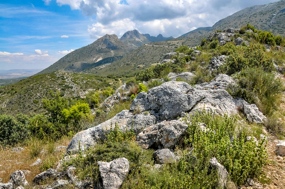 deifontestorre06
