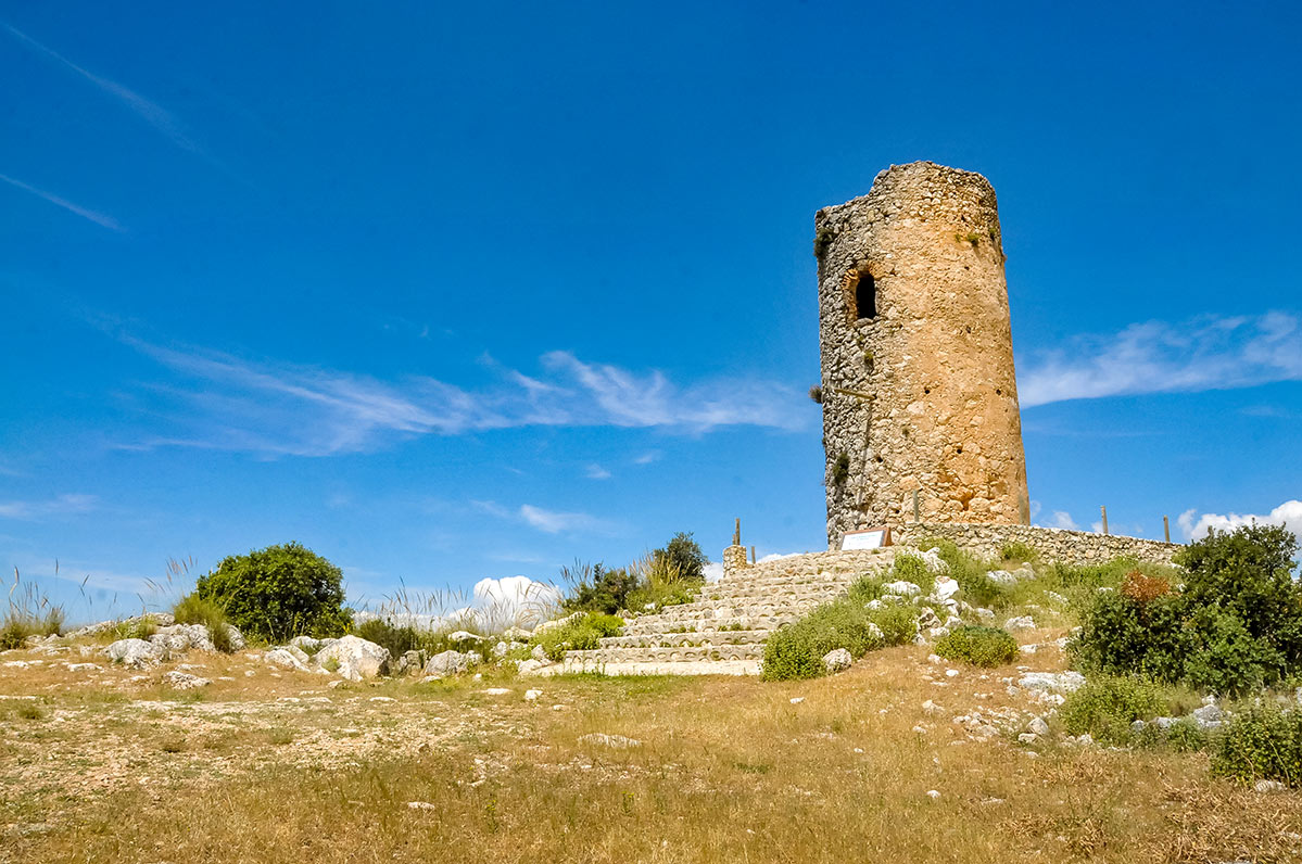 deifontestorre08