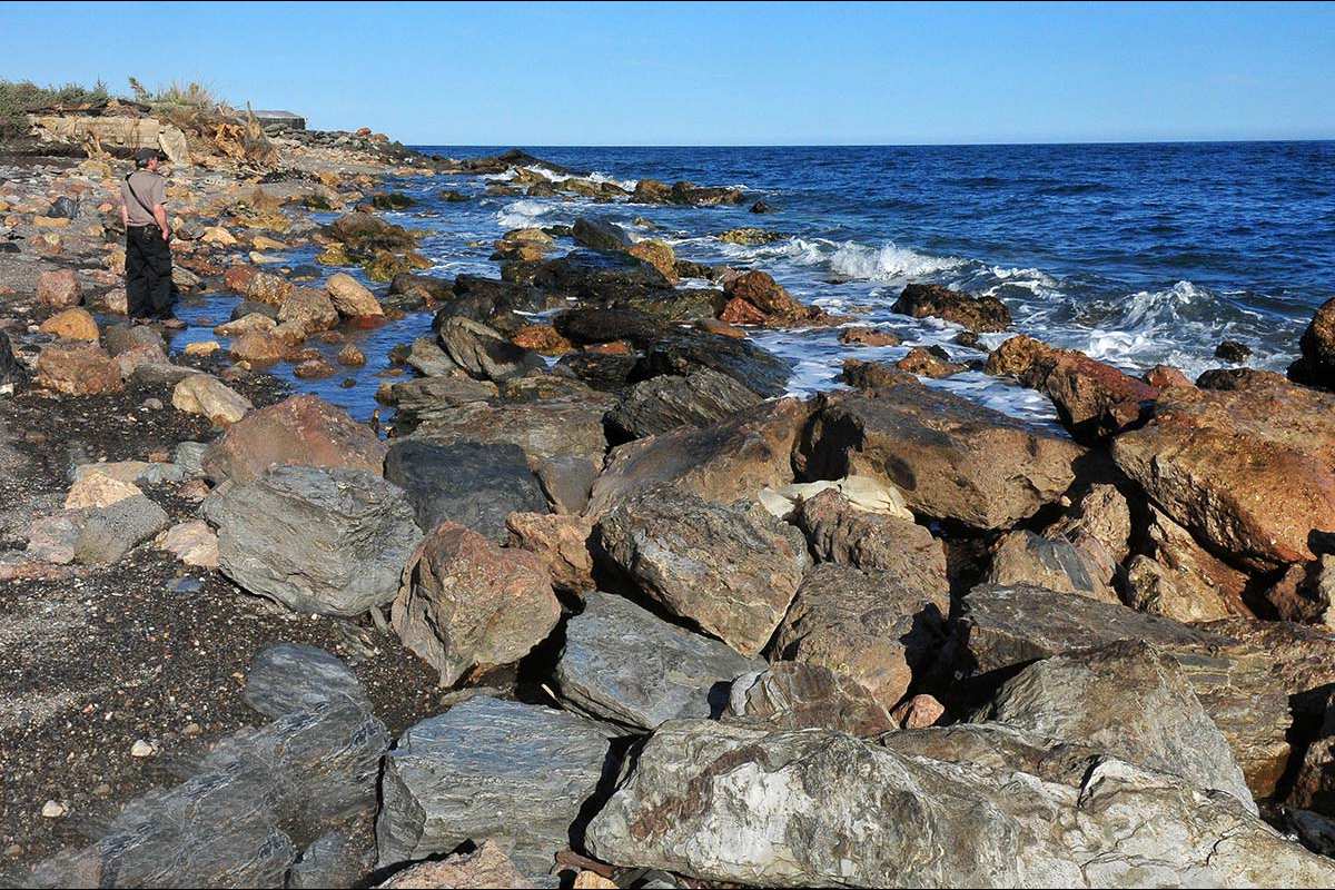 ROCAS INTERMAREALES ENTRE LA RÁBITA Y EL POZUELO
