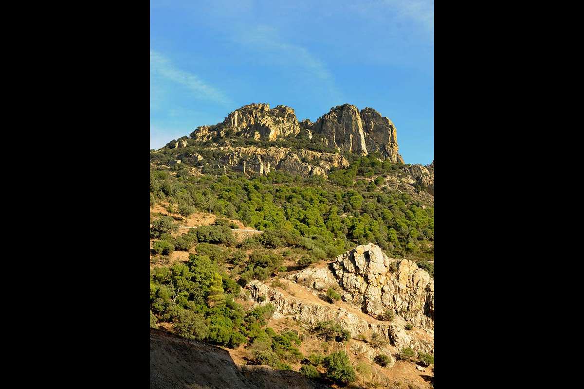 despenaperros17