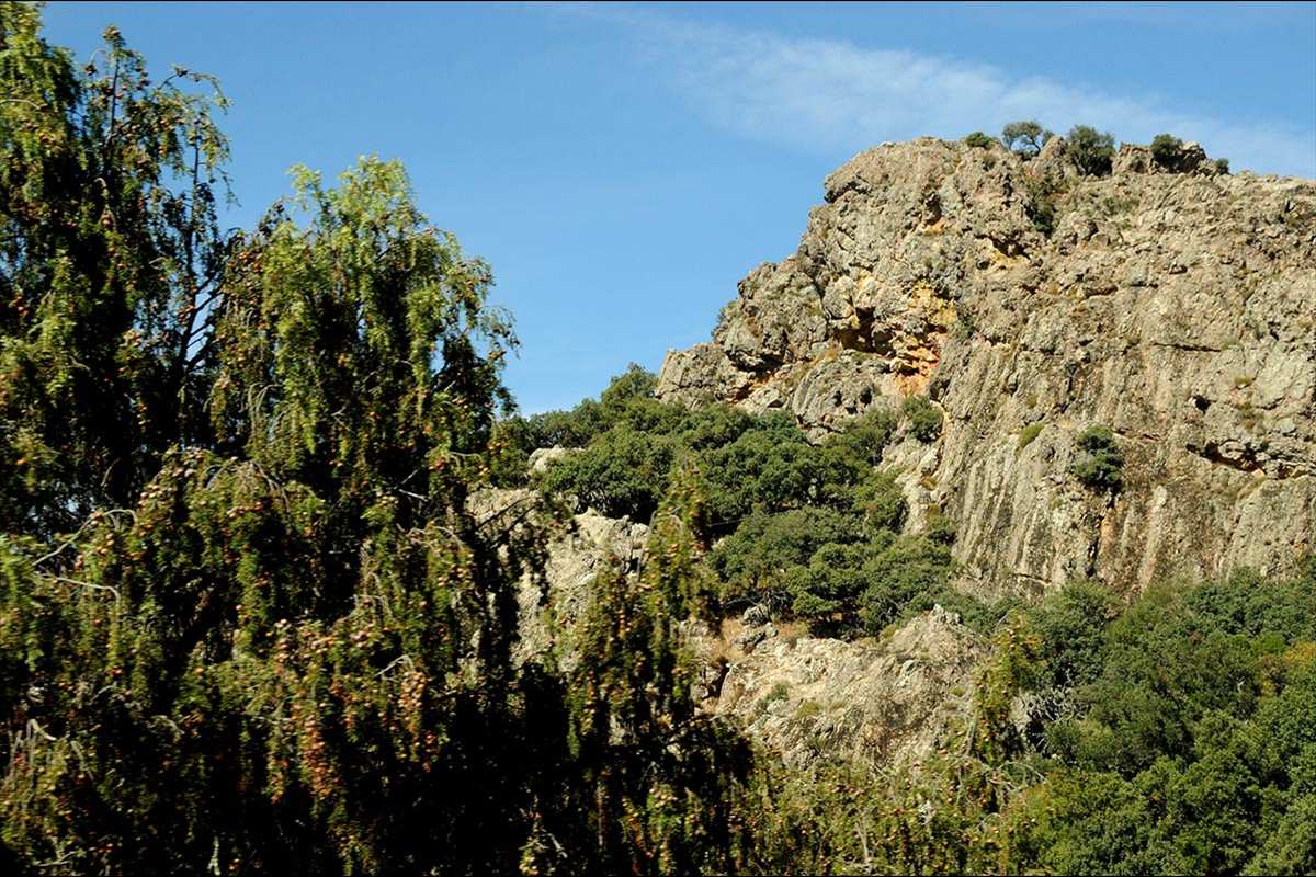 despenaperros63