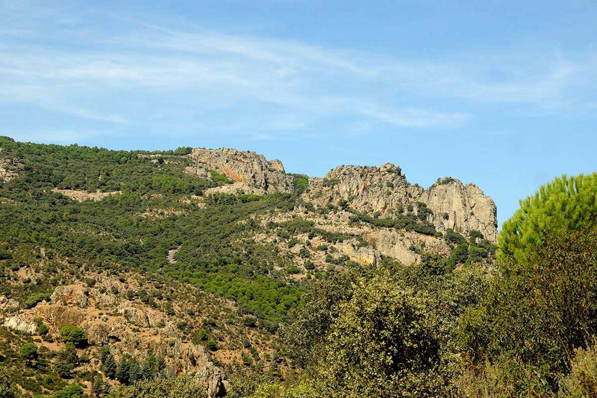 despenaperros85