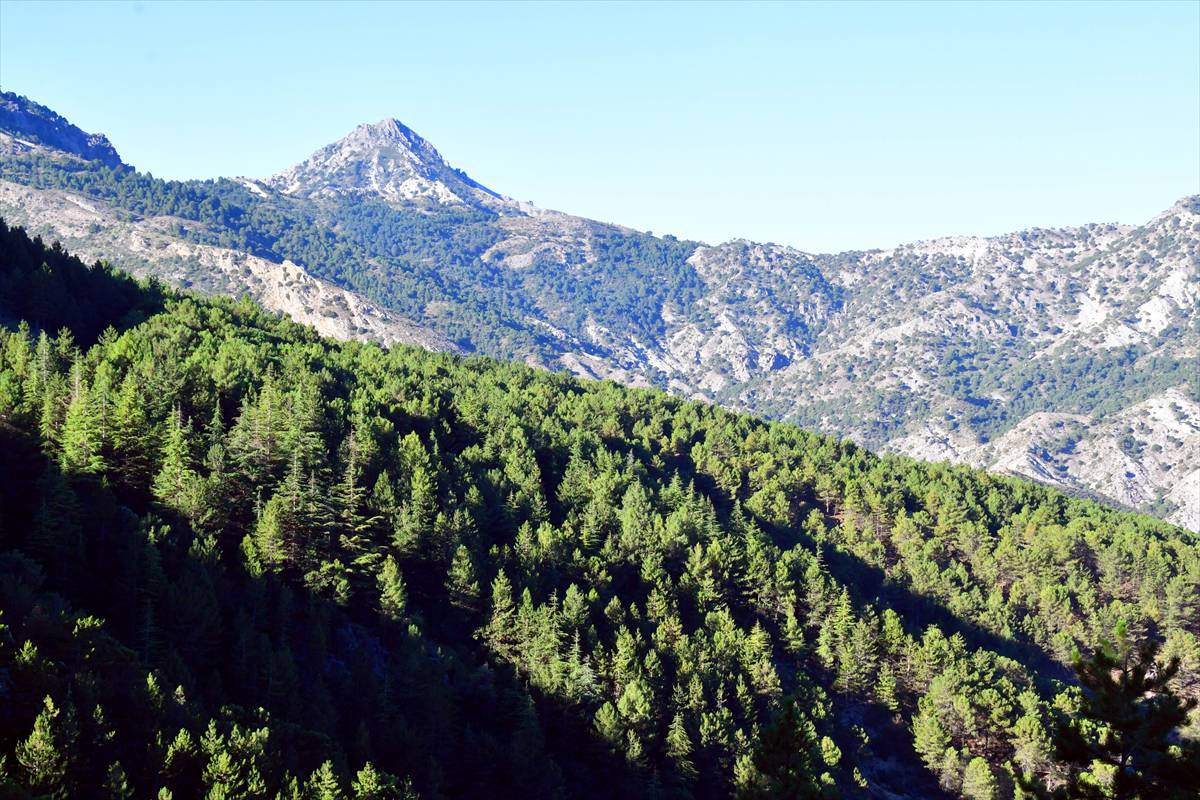 diechar-sajjeronimo-15