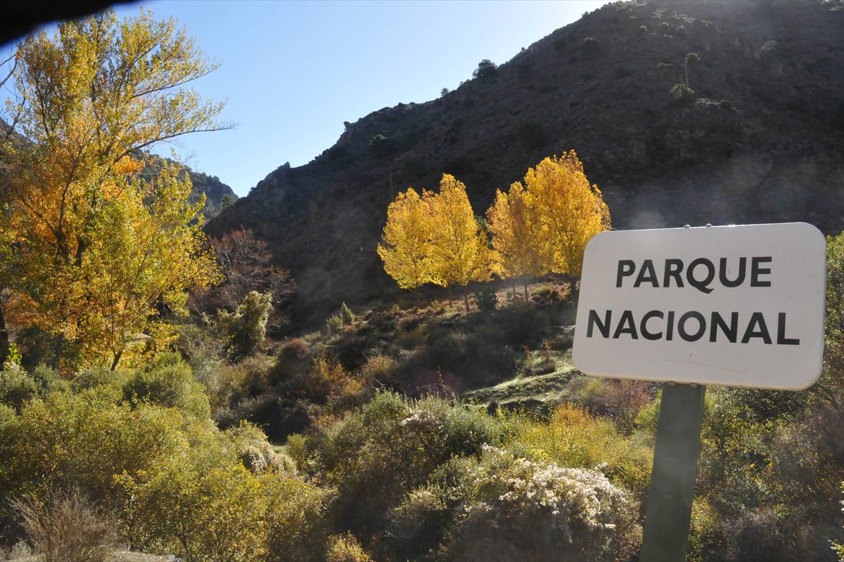 sanjeronimo10
