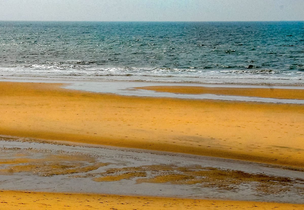 donana17