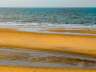 donana17