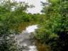 donana26