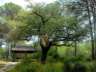 donana27