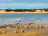 donana32