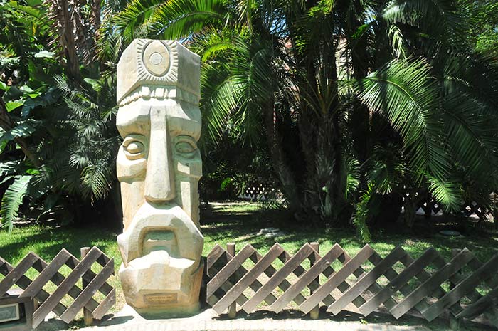 elmajuelo4