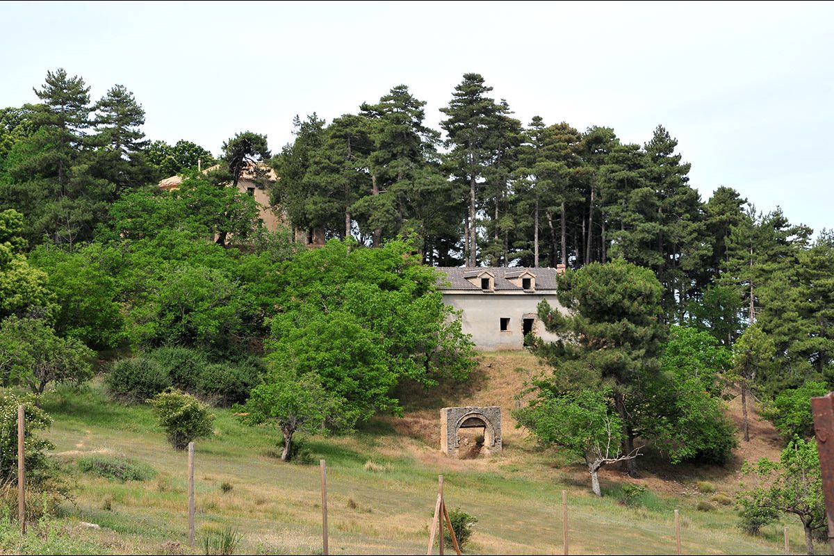 El_Purche_008