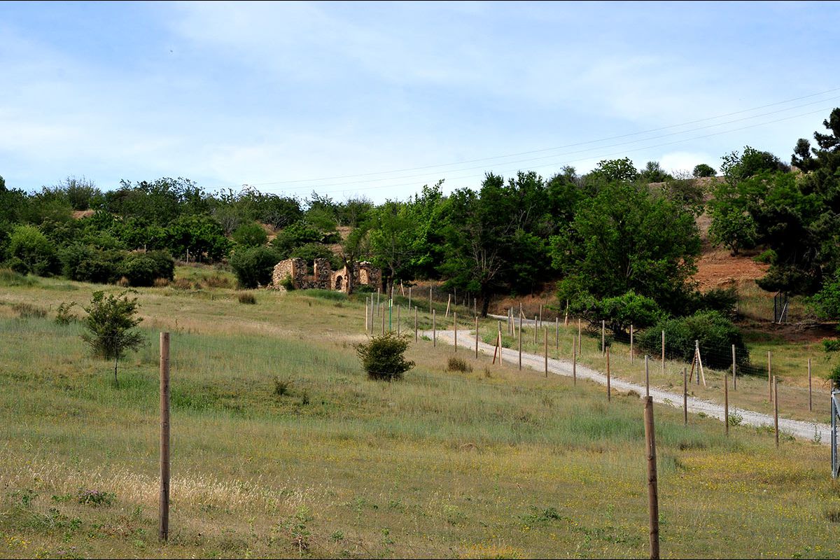 El_Purche_009