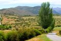 purche-panoramica-2